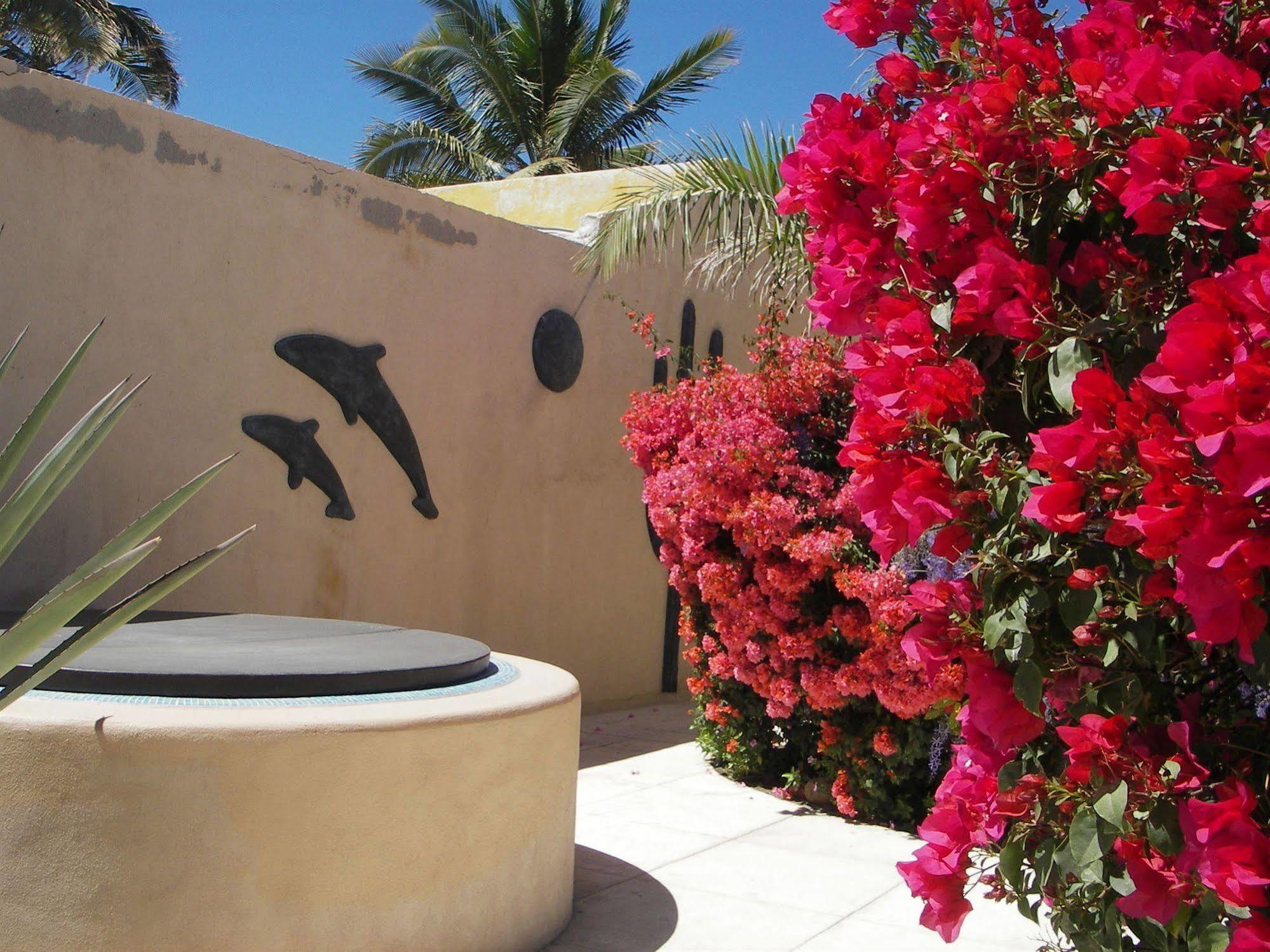 Casa Kootenay Waterfront Bnb La Paz Εξωτερικό φωτογραφία